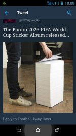 Panini.jpg