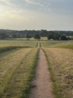 IMG_4383.jpeg