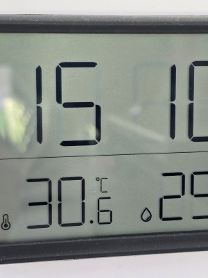 1000025741.jpg