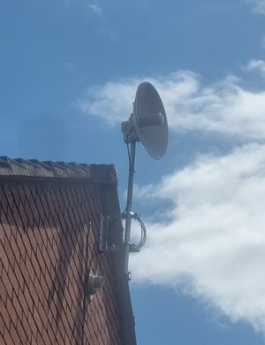 1000106525.jpg