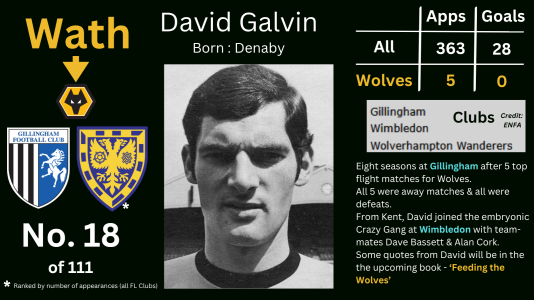 Davin Galvin(2).png