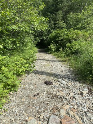 IMG_9475.jpeg