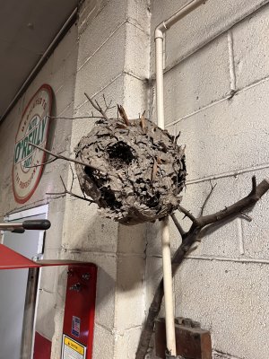 IMG_1302.jpeg