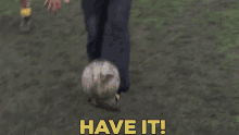 1000029903.gif