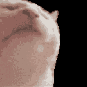 1757168053334.gif