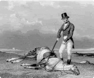 1758195135536.gif