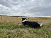 D4B5136A-92A0-4078-AF93-5BC385E9B9F6.jpeg