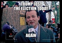 trump lost again.jpg
