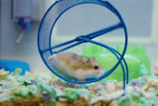 6FB081B0-EC60-4E41-A2BB-8EE9B30EF463.gif