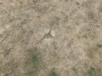 3D227366-7AAE-4105-9F43-3FD42F8D6E97.jpeg