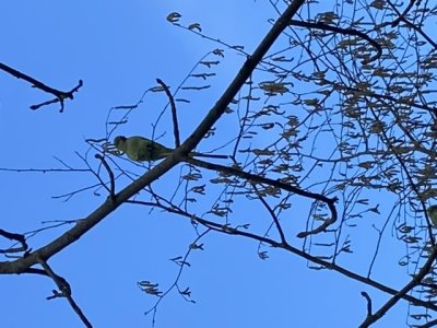 5FFB00F2-B7DD-4907-9930-B6E918753374.jpeg