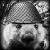 Wombat del combate