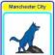 BlueWolf