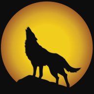 spanish Wolf