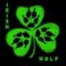 Irish_Wolf