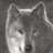 spiritualwolf