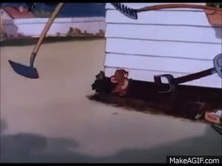 M5-we5.gif