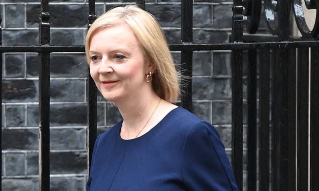 www.dailymail.co.uk
