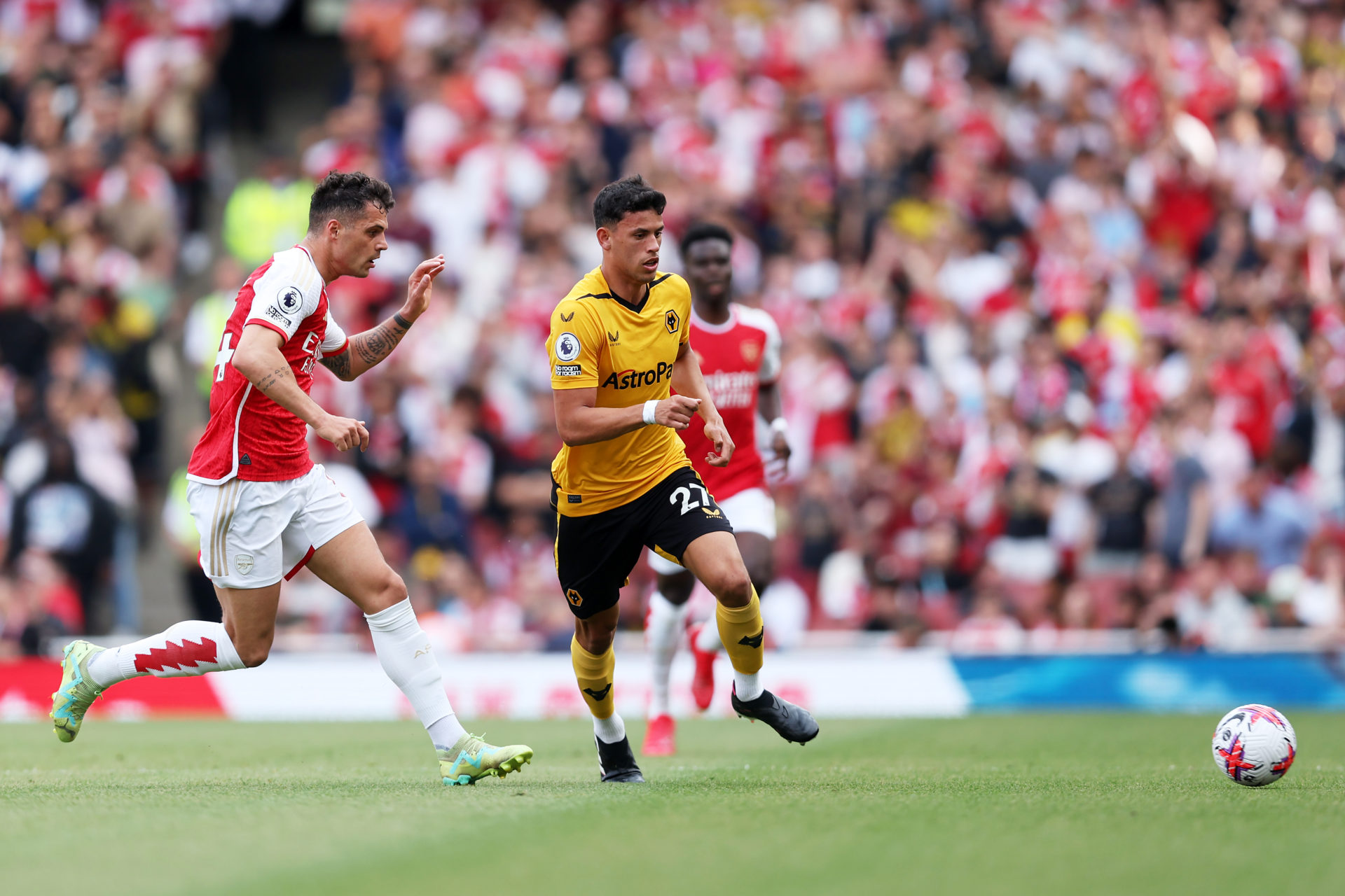 www.molineux.news