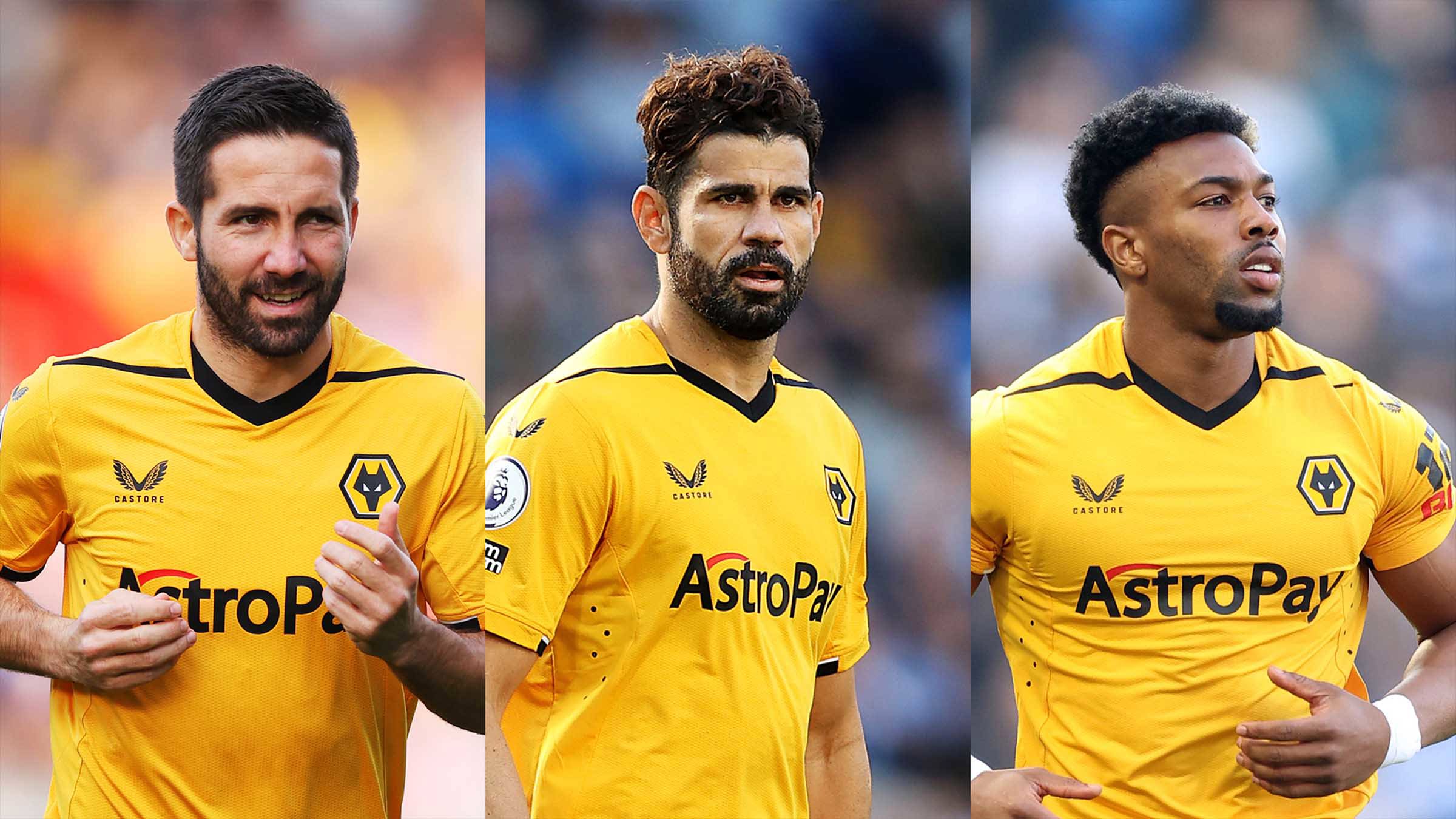 www.wolves.co.uk